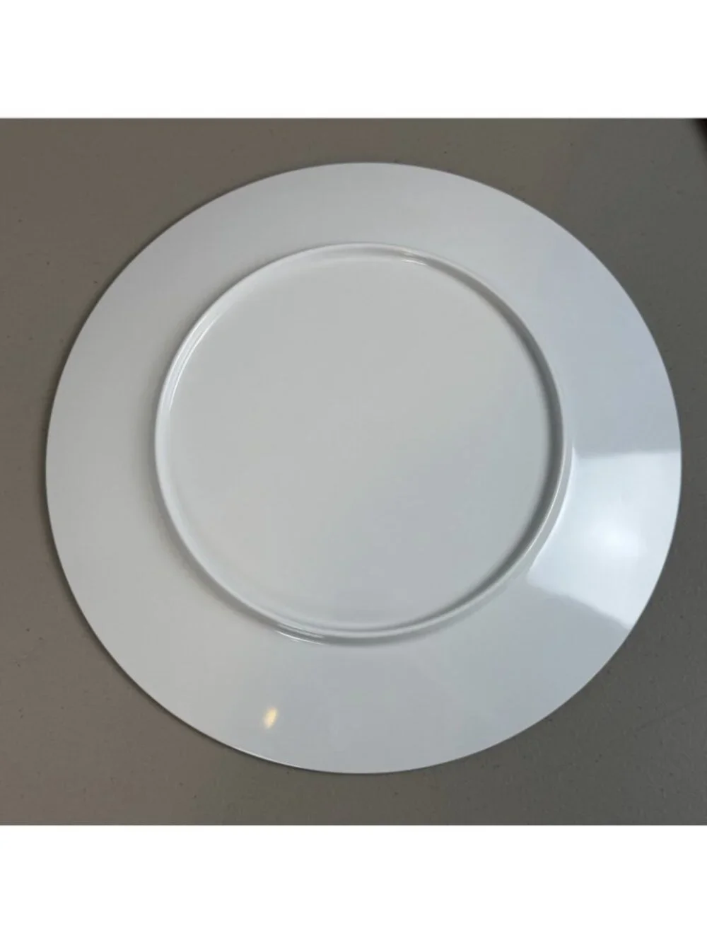 West‎ Elm Rachel Kozlowski Dapper Animal Dinner Plate Ocean beach otter dolphin